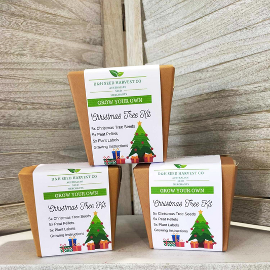 Christmas Tree Seed Kits